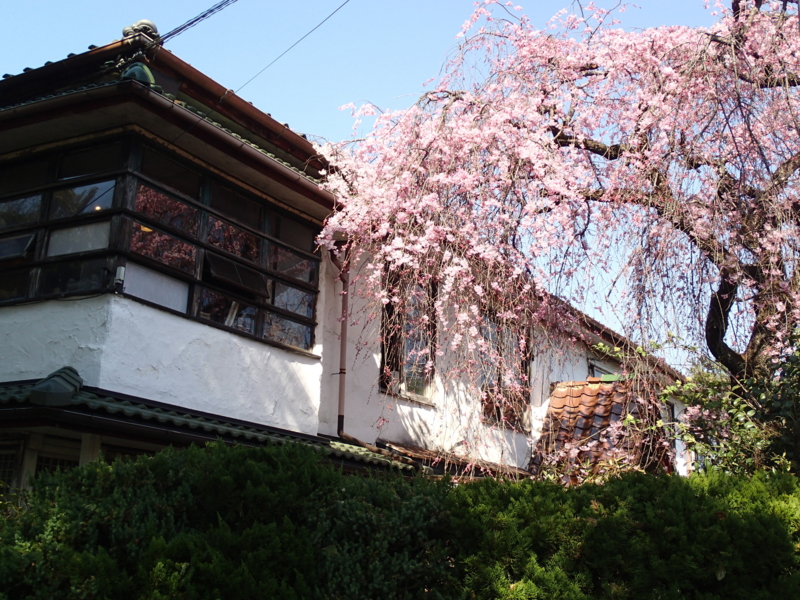 f:id:CBX4121:20150427003046j:image:w360