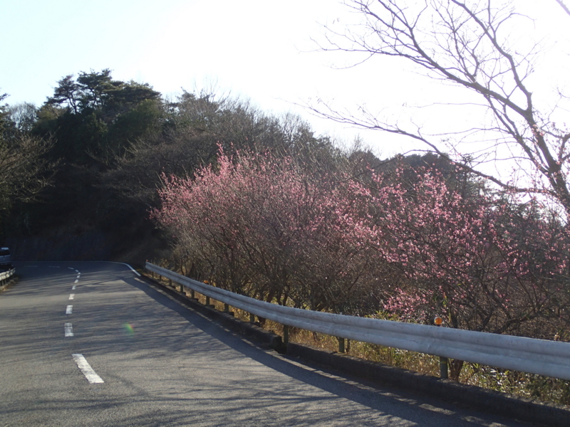 f:id:CBX4121:20150427003102j:image:w360