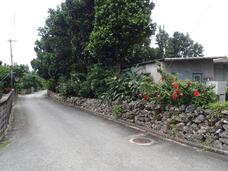f:id:CBX4121:20150517225822j:image:w640