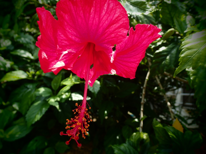 f:id:CBX4121:20150517225833j:image:w640