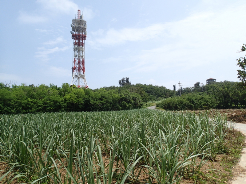 f:id:CBX4121:20150517225837j:image:w640