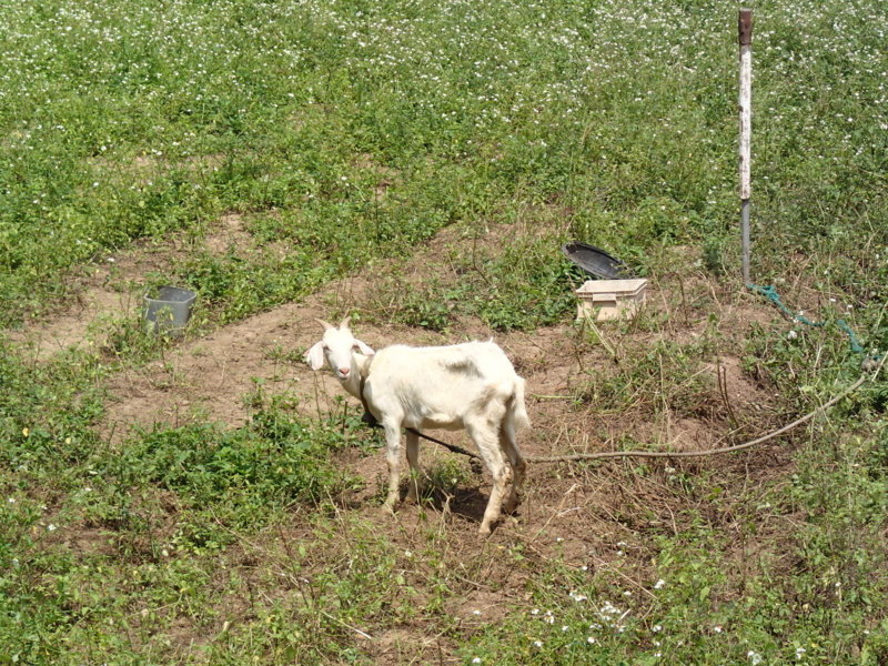 f:id:CBX4121:20150517225841j:image:w640