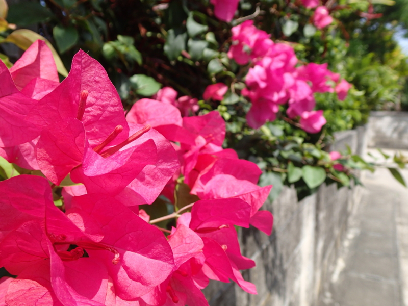 f:id:CBX4121:20150517225848j:image:w640