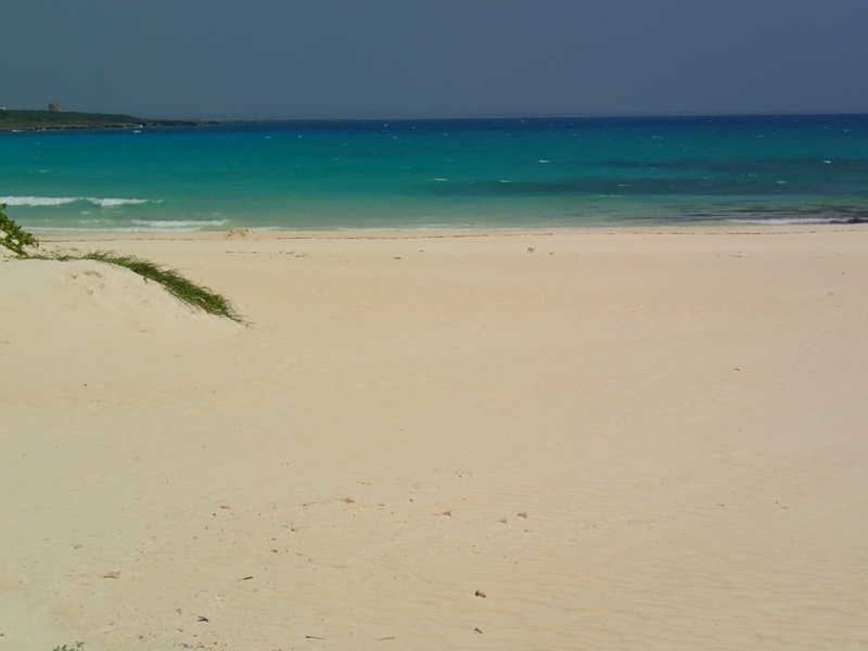 f:id:CBX4121:20150524201622j:image:w640