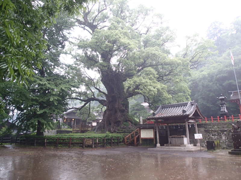 f:id:CBX4121:20150702230938j:image:w360 f:id:CBX4121:20150702230938j:image:w360