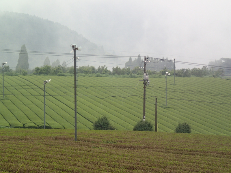 f:id:CBX4121:20150702230951j:image:w360 f:id:CBX4121:20150702230951j:image:w360