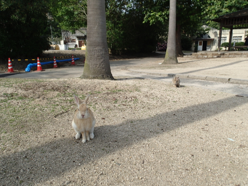 f:id:CBX4121:20150905003811j:image:w360 f:id:CBX4121:20150905003811j:image:w360