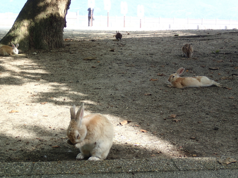 f:id:CBX4121:20150905004001j:image:w360 f:id:CBX4121:20150905004001j:image:w360