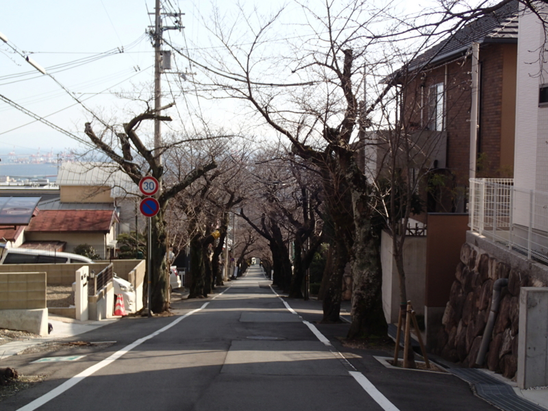 f:id:CBX4121:20160131223441j:image:w640