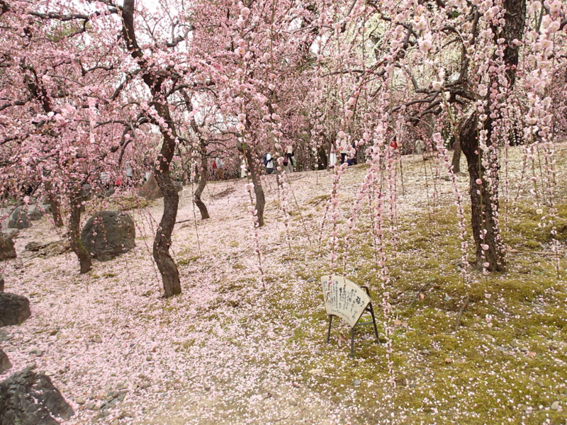 f:id:CBX4121:20160604200903j:image:w360