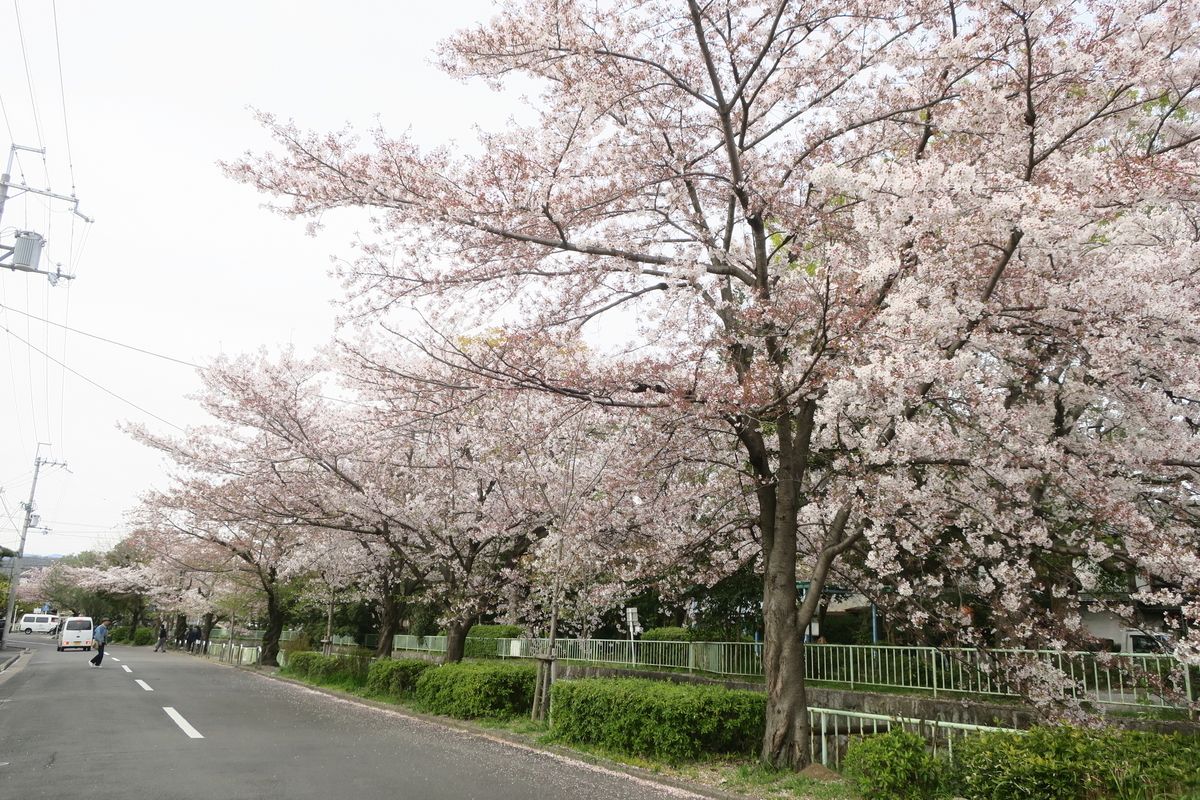 f:id:CBX4121:20190521213741j:plain f:id:CBX4121:20190521213741j:plain