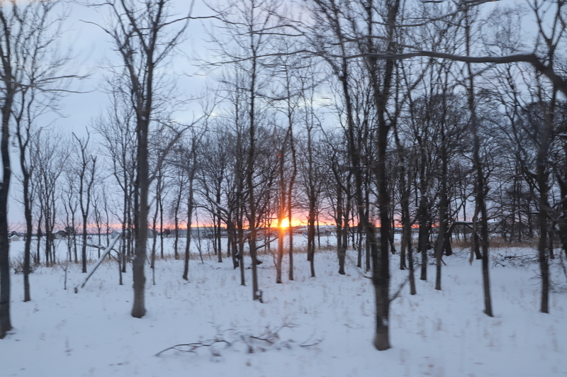 f:id:CBX4121:20200120233847j:plain