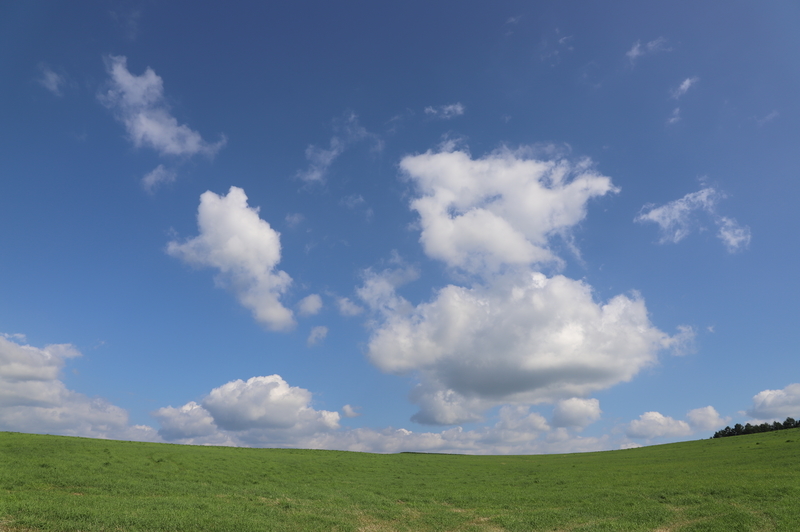 f:id:CBX4121:20200812223151j:plain f:id:CBX4121:20200812223151j:plain