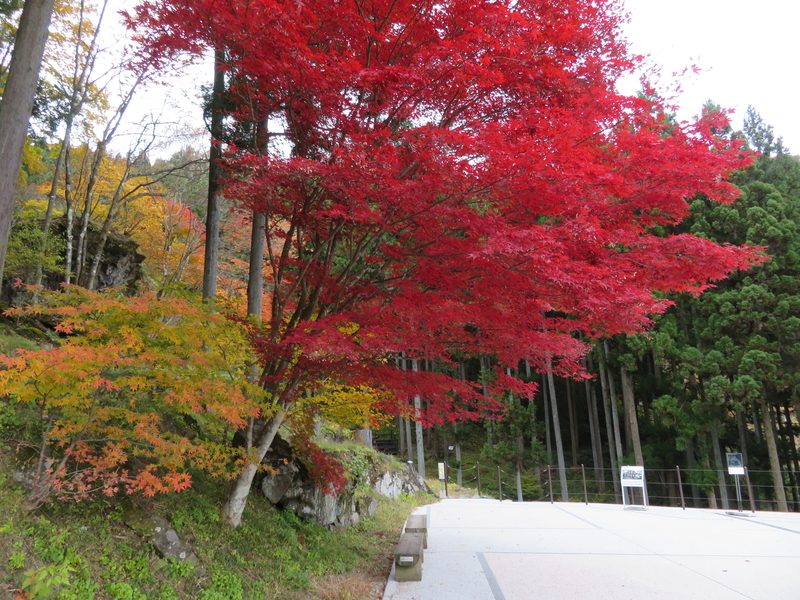 f:id:CBX4121:20201127010250j:plain