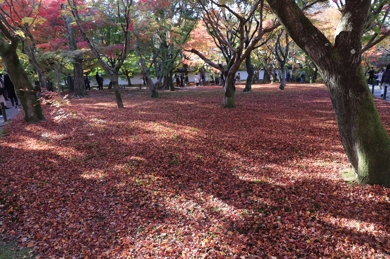 f:id:CBX4121:20201128143716j:plain