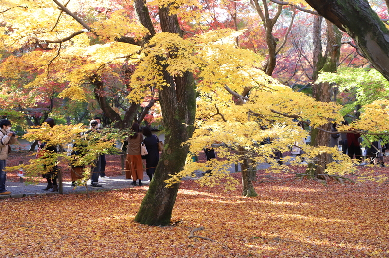 f:id:CBX4121:20201128143859j:plain