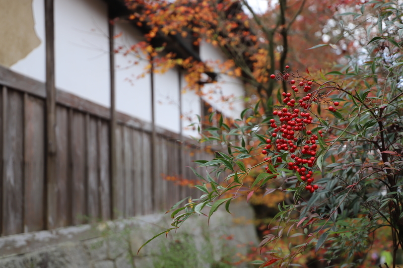f:id:CBX4121:20201128144825j:plain