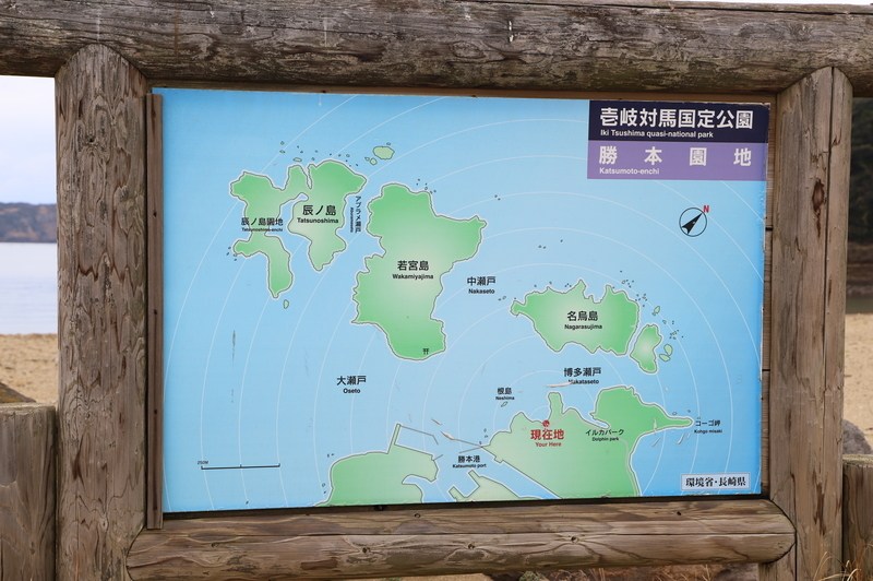 f:id:CBX4121:20220103225929j:plain