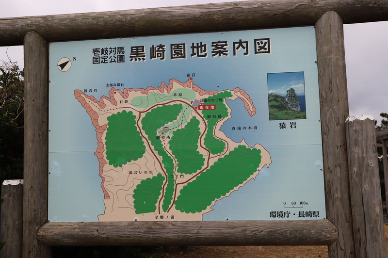 f:id:CBX4121:20220103230151j:plain