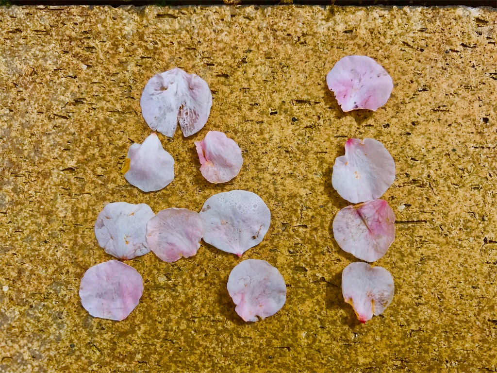 f:id:CHASSESPLEEN:20180310131945j:image