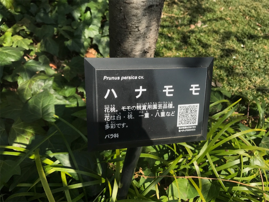 f:id:CHASSESPLEEN:20180314164251j:image