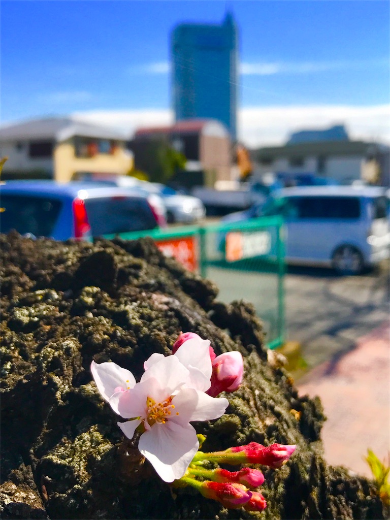 f:id:CHASSESPLEEN:20180317123541j:image