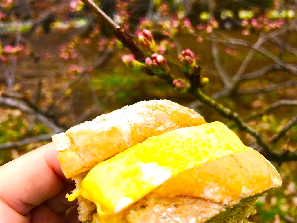 f:id:CHASSESPLEEN:20180318141331j:image