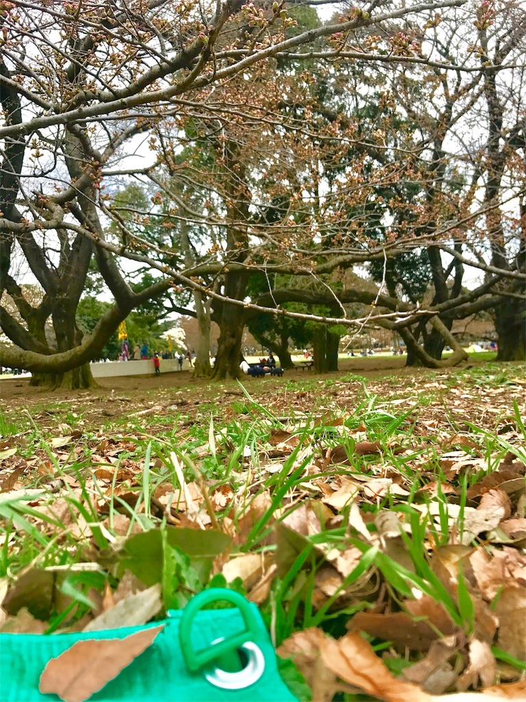 f:id:CHASSESPLEEN:20180318141332j:image