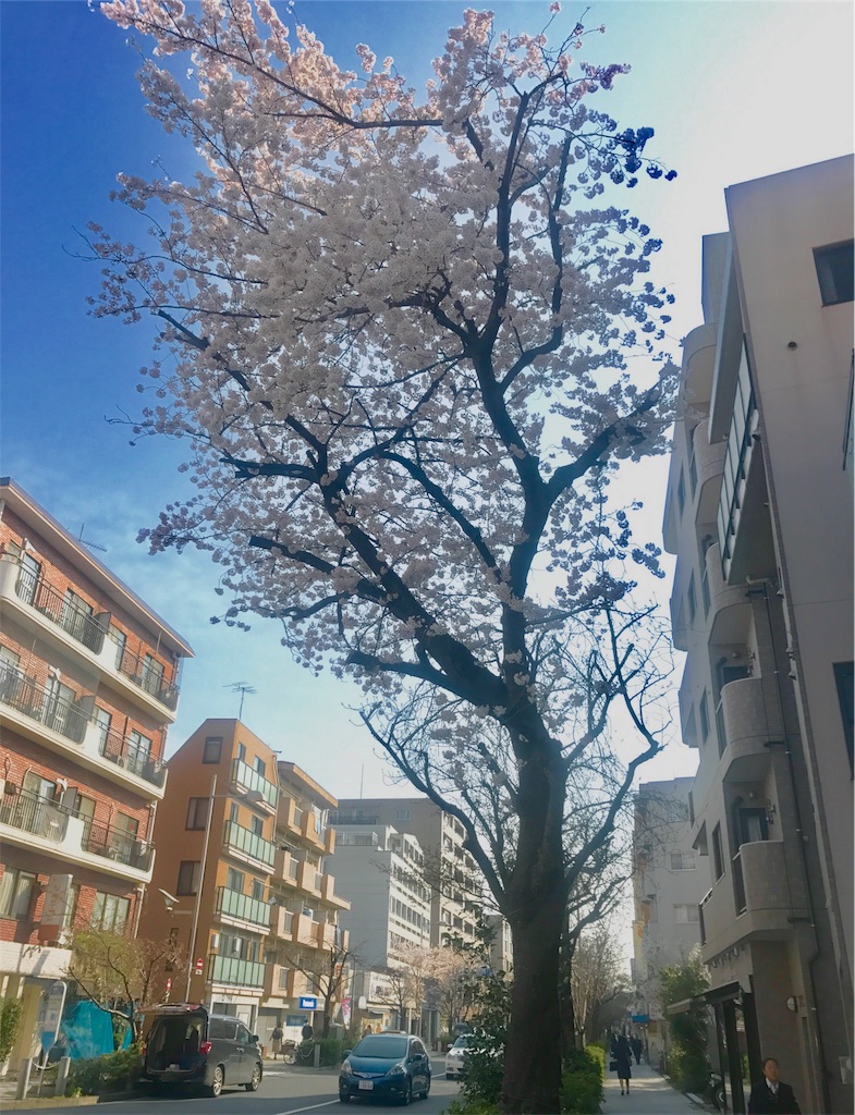 f:id:CHASSESPLEEN:20180327082538j:image