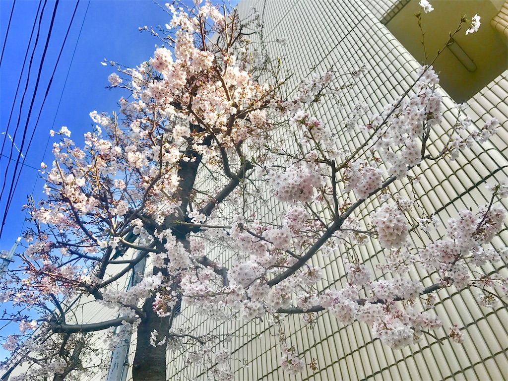 f:id:CHASSESPLEEN:20180327082544j:image