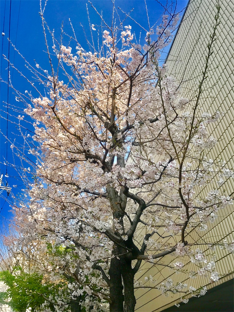 f:id:CHASSESPLEEN:20180327082554j:image