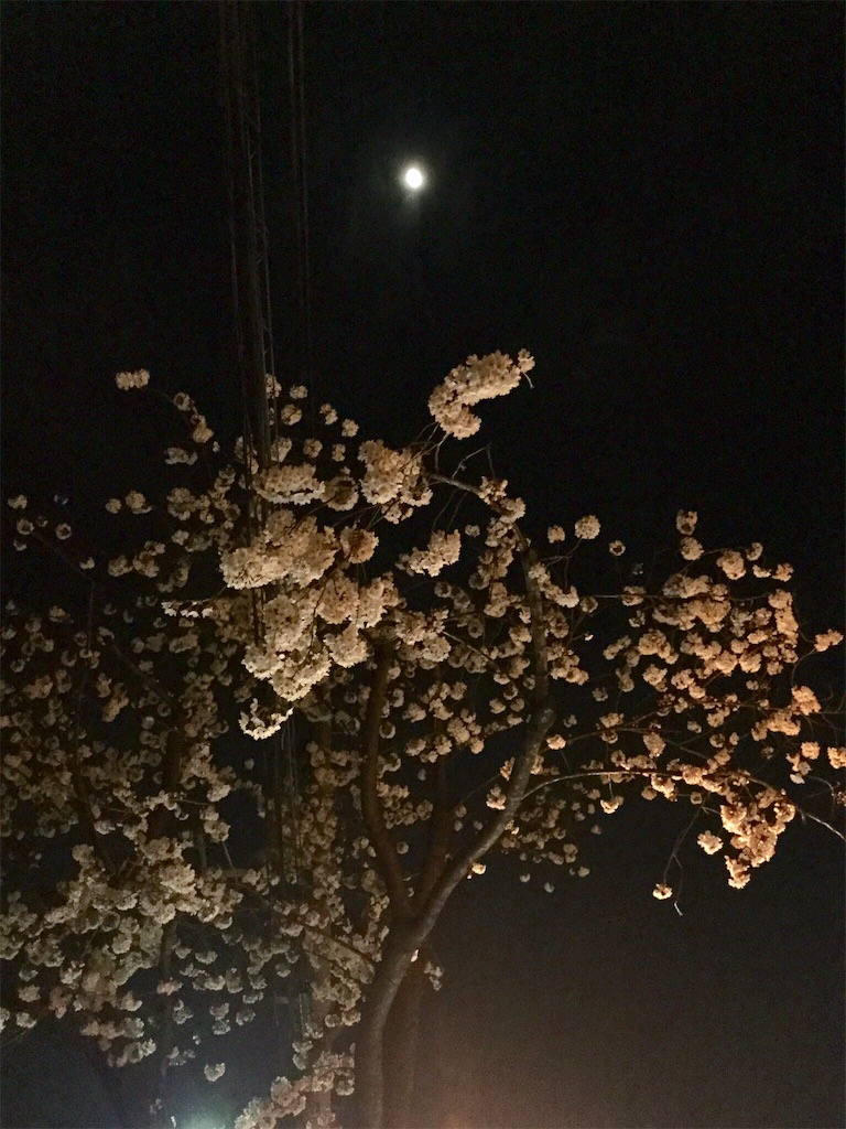 f:id:CHASSESPLEEN:20180327204805j:image