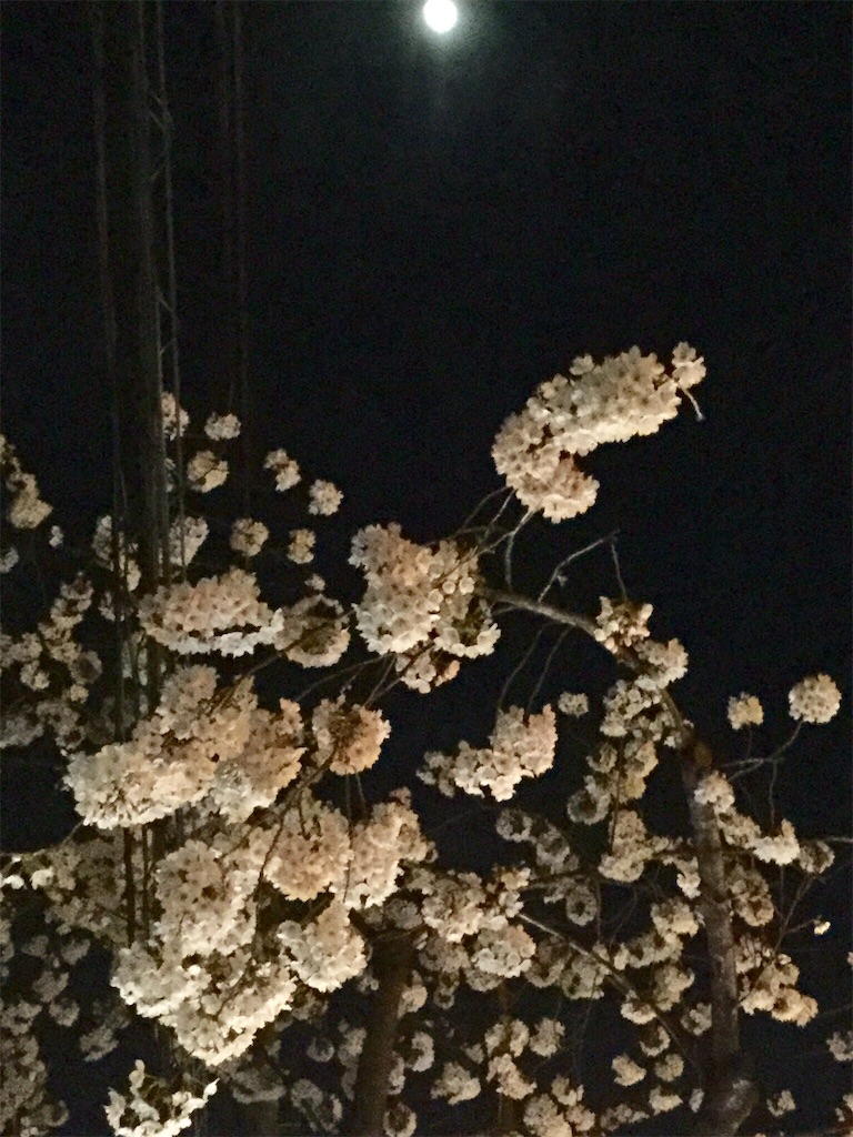 f:id:CHASSESPLEEN:20180327204808j:image