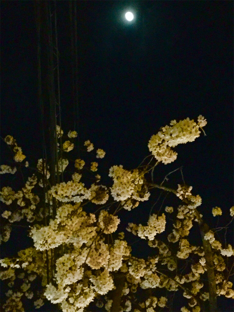 f:id:CHASSESPLEEN:20180327204813j:image