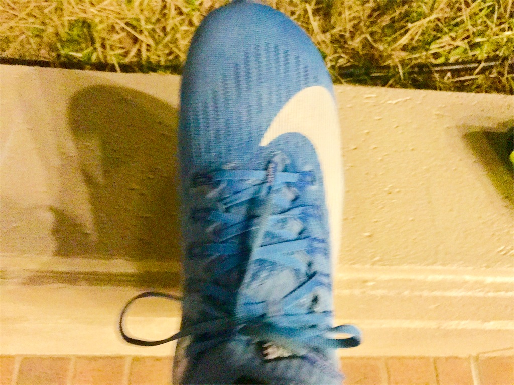 f:id:CHASSESPLEEN:20180403213541j:image