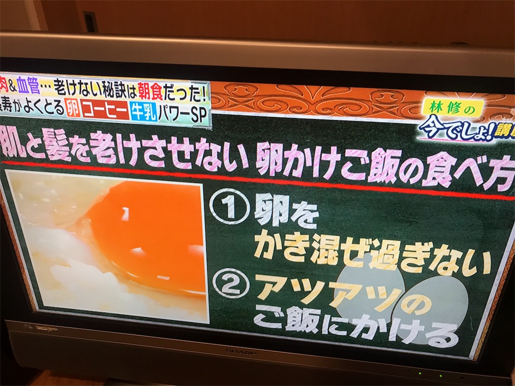 f:id:CHASSESPLEEN:20180509062829j:image