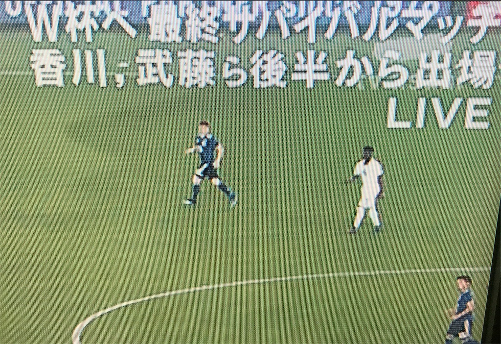 f:id:CHASSESPLEEN:20180531084337j:image f:id:CHASSESPLEEN:20180531084337j:image