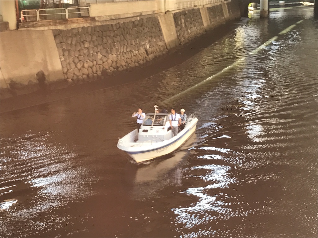 f:id:CHASSESPLEEN:20180604125331j:image