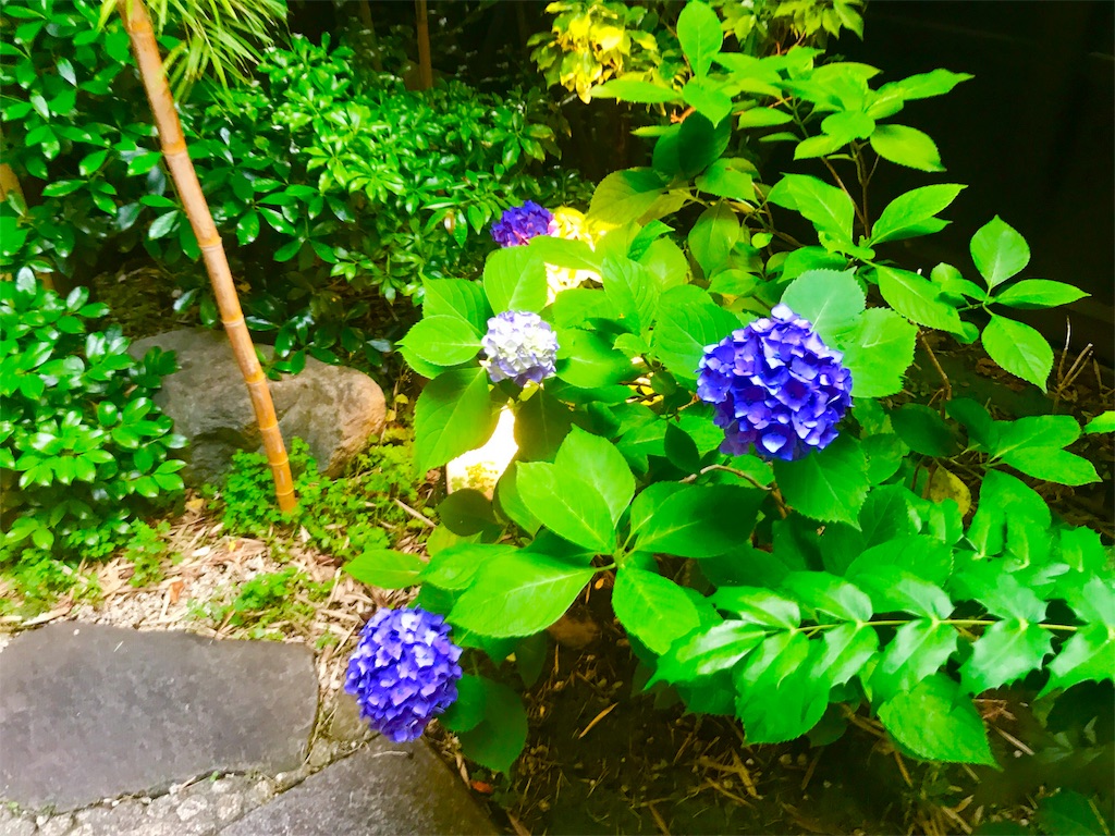 f:id:CHASSESPLEEN:20180609205711j:image