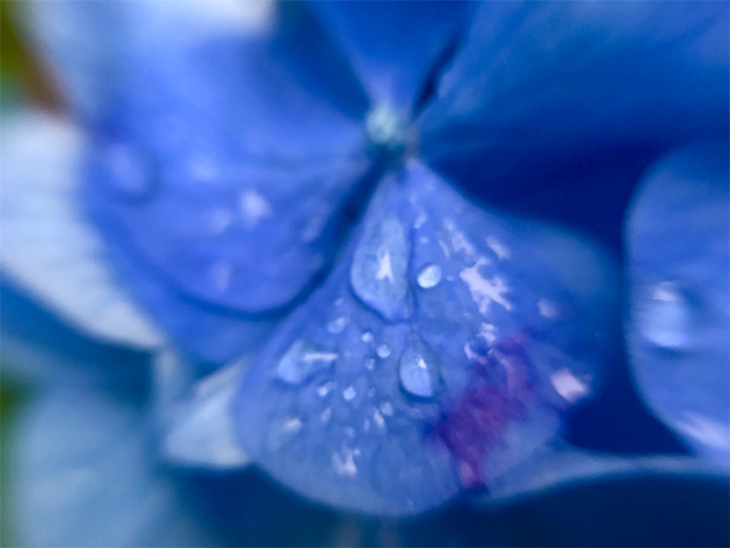 f:id:CHASSESPLEEN:20180612062355j:image