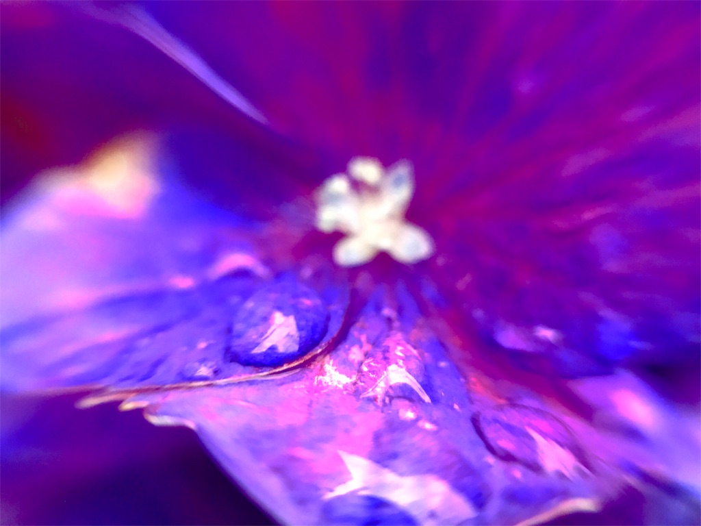 f:id:CHASSESPLEEN:20180612062359j:image