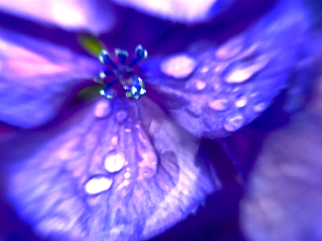 f:id:CHASSESPLEEN:20180612062409j:image