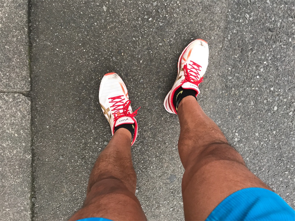 f:id:CHASSESPLEEN:20180616171414j:image