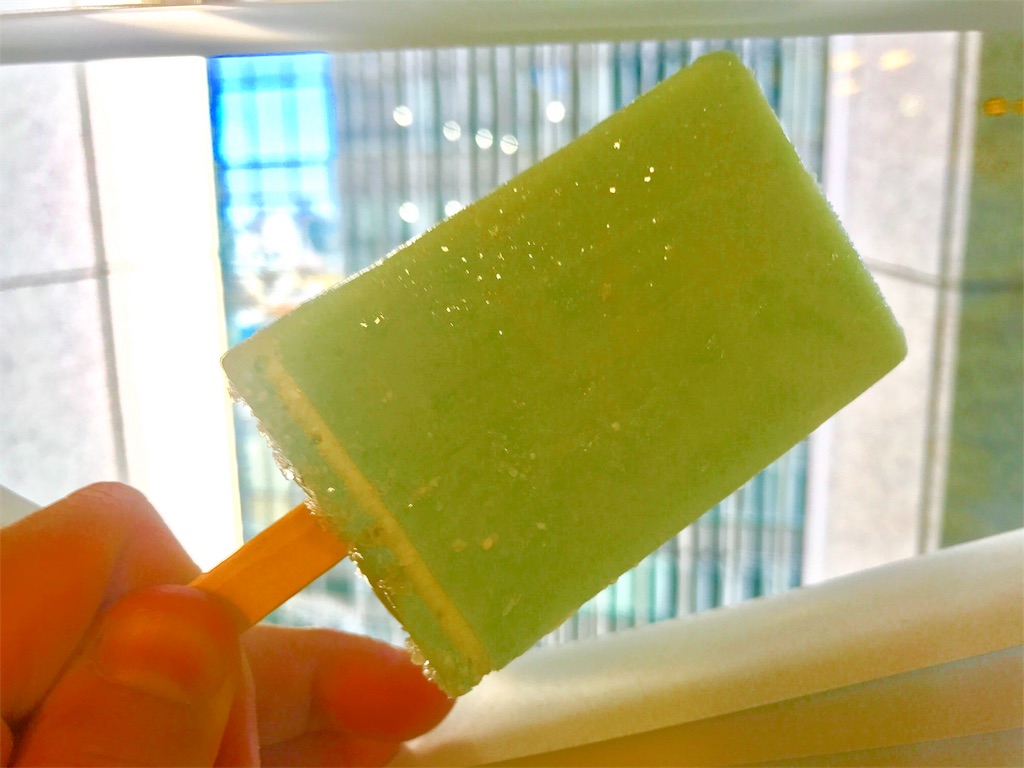 f:id:CHASSESPLEEN:20180629185803j:image