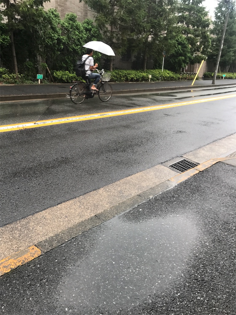 f:id:CHASSESPLEEN:20180712070431j:image