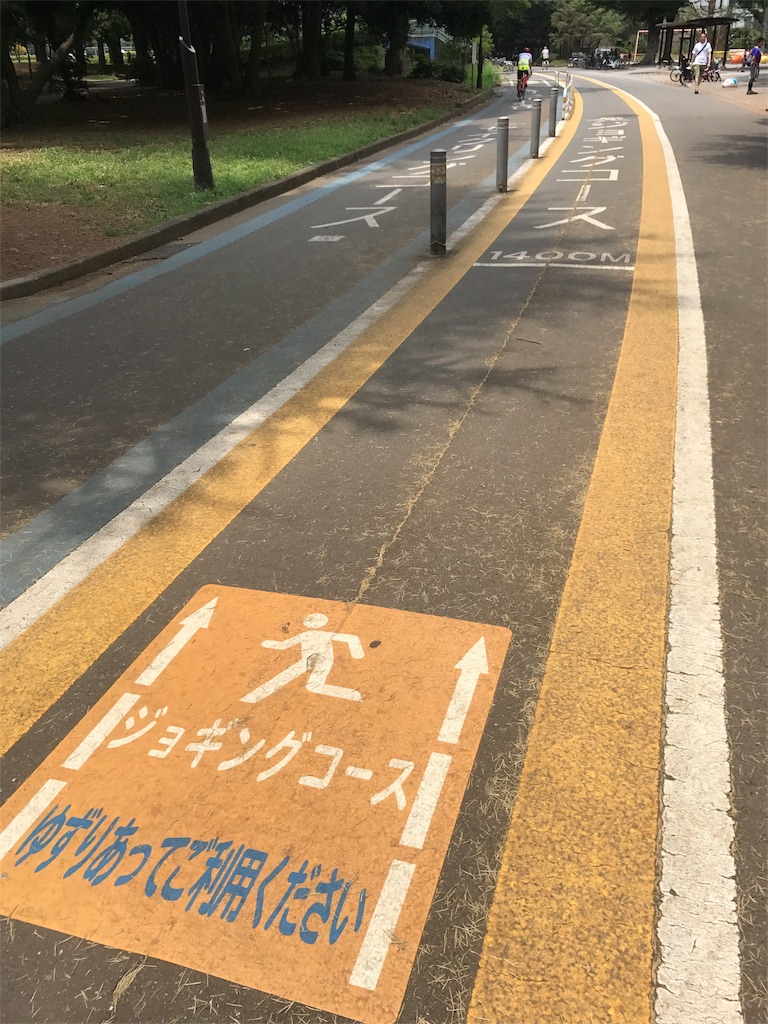 f:id:CHASSESPLEEN:20180722125049j:image