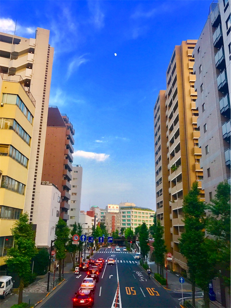 f:id:CHASSESPLEEN:20180722203904j:image