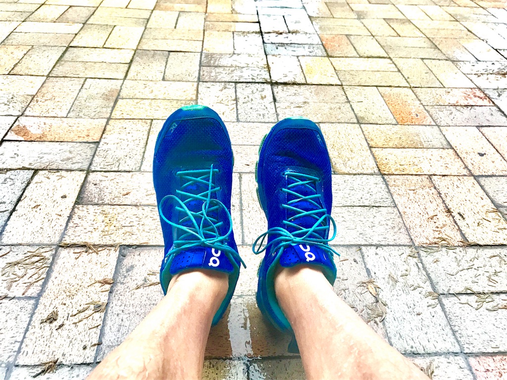 f:id:CHASSESPLEEN:20180728185921j:image