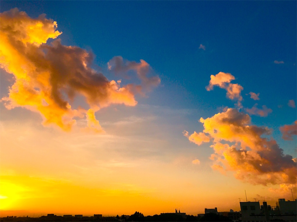 f:id:CHASSESPLEEN:20180729184611j:image