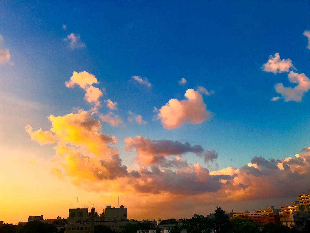 f:id:CHASSESPLEEN:20180729184615j:image